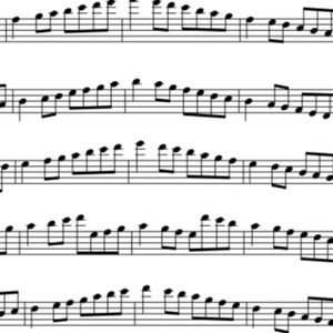 Meet your Posher, Lia